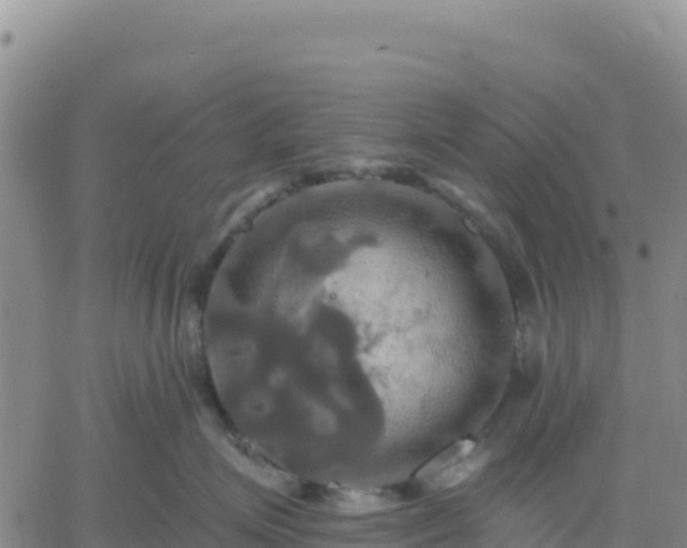 X0000061750623200512091637