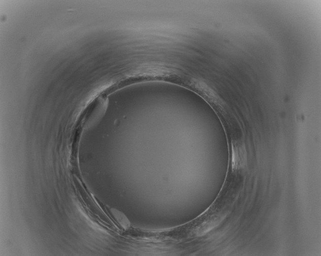 X0000061750627200512091636