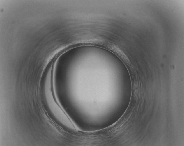 X0000061750628200512091636