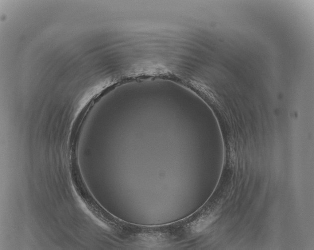 X0000061750630200512091636