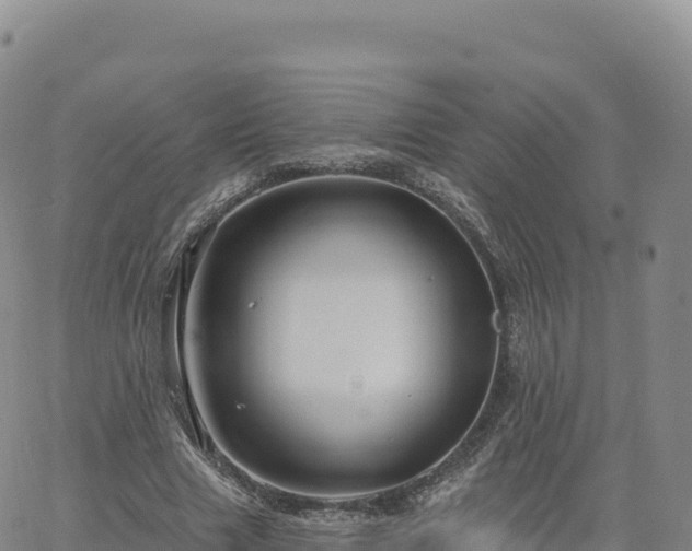 X0000061750633200512091637