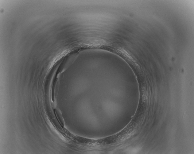 X0000061750634200512091637