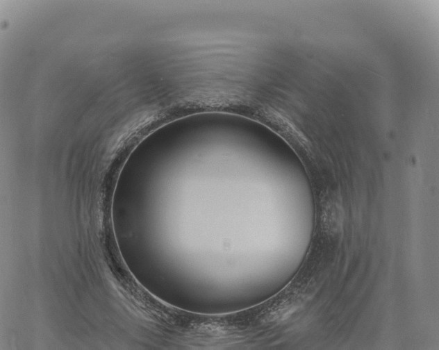 X0000061750635200512091637