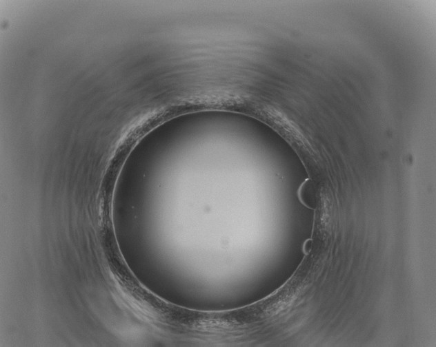 X0000061750636200512091637