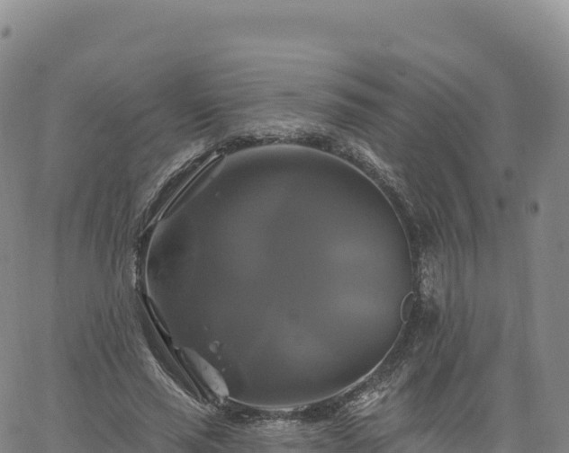 X0000061750637200512091637