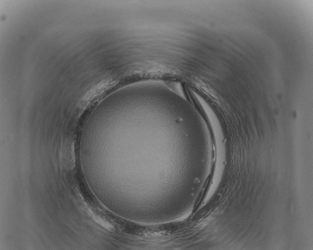 X0000061750638200512091637