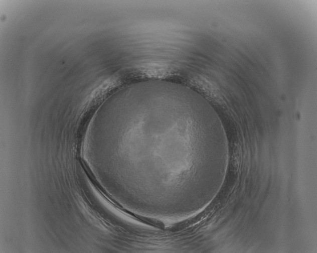 X0000061750639200512091637