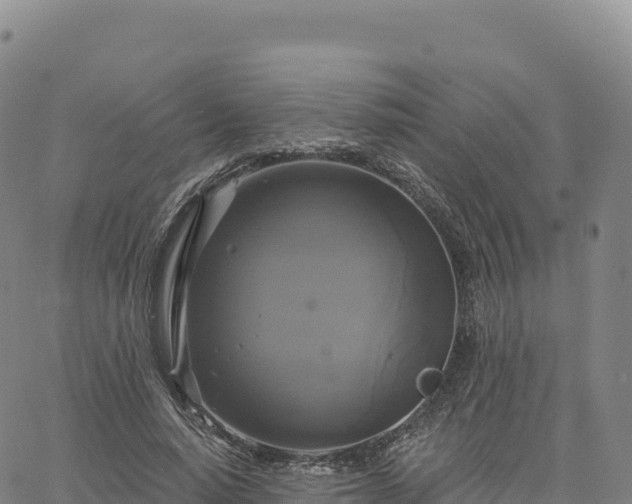 X0000061750640200512091637