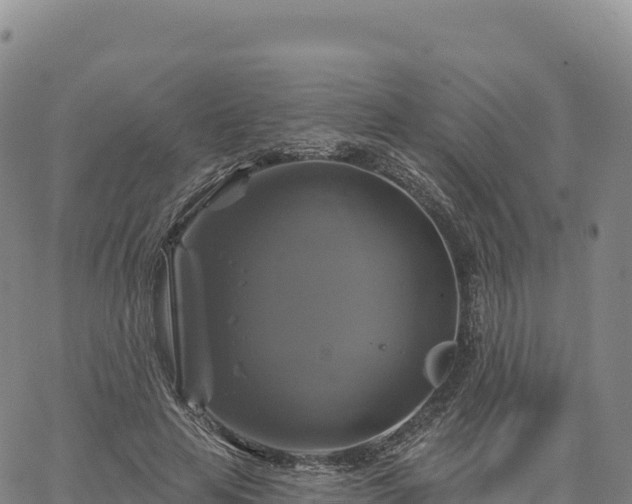 X0000061750641200512091637