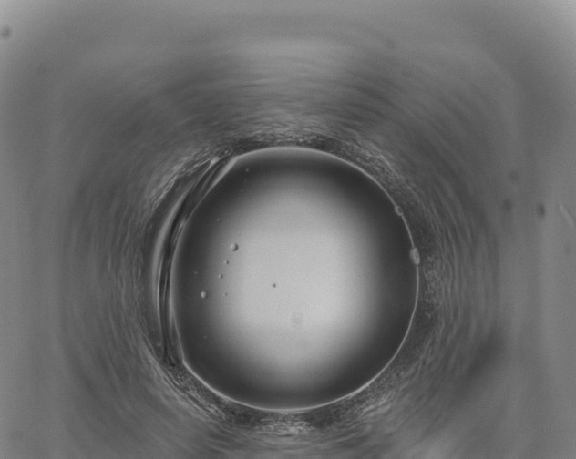 X0000061750642200512091637