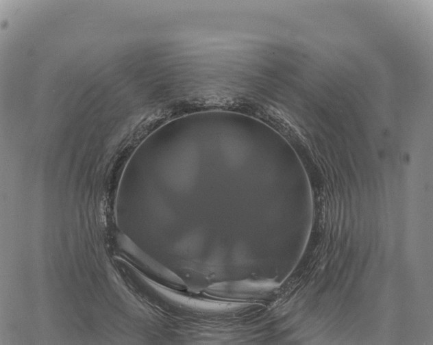 X0000061750643200512091637