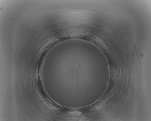 X0000061750644200512091637