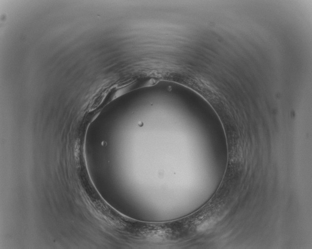 X0000061750646200512091637