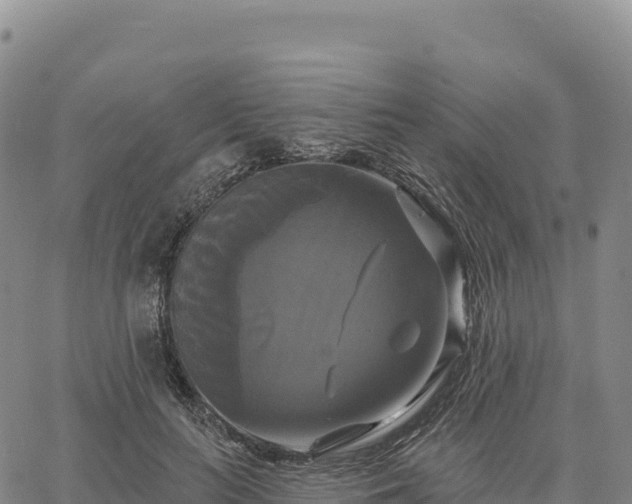 X0000061750647200512091637