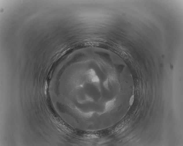 X0000061750649200512091637