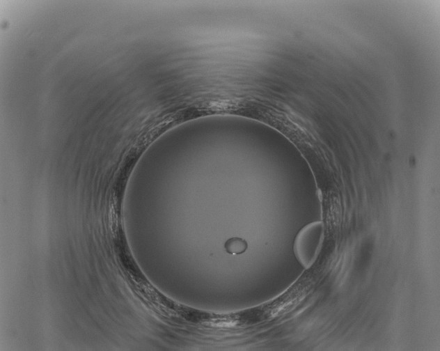 X0000061750651200512091637