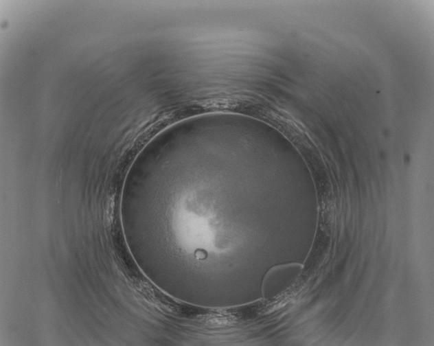 X0000061750652200512091637