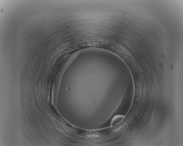 X0000061750653200512091637