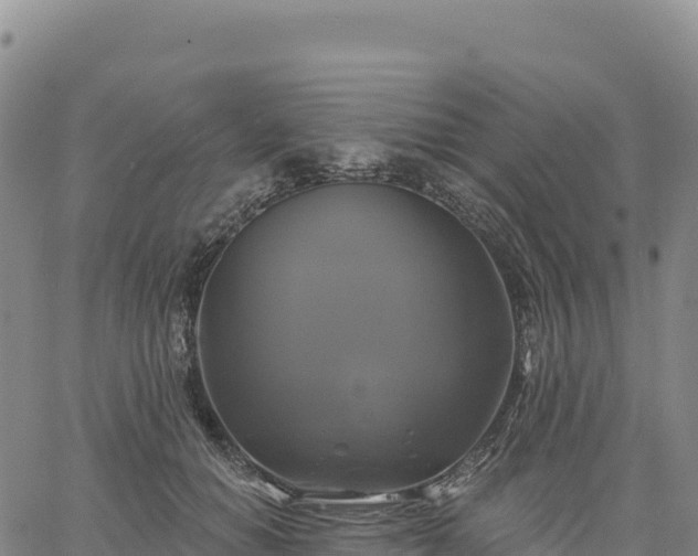 X0000061750654200512091637