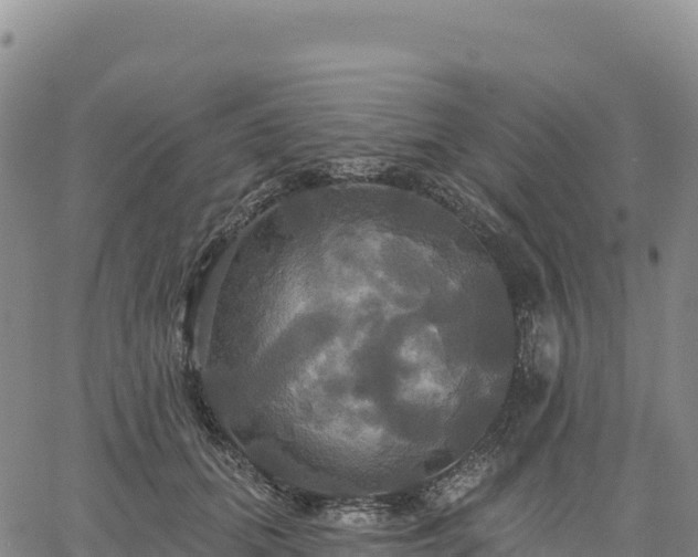 X0000061750655200512091637