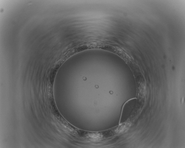 X0000061750659200512091637