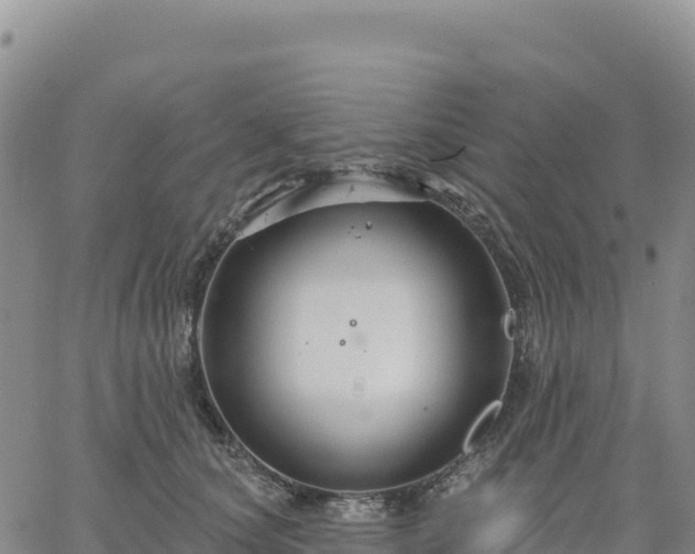 X0000061750660200512091637