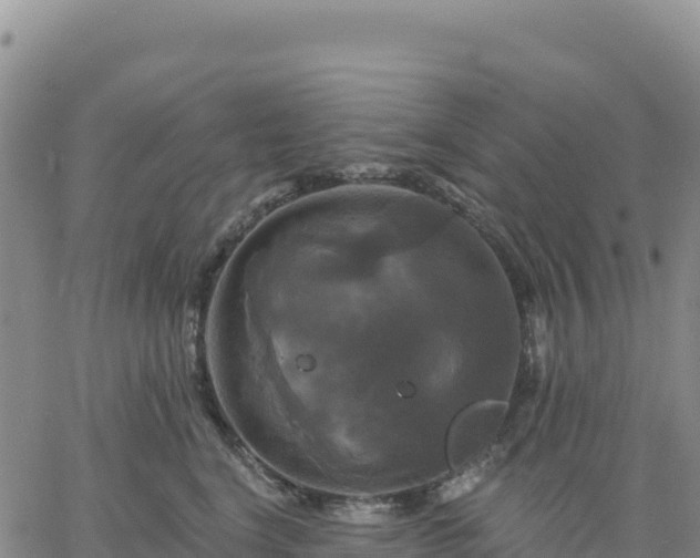 X0000061750664200512091637