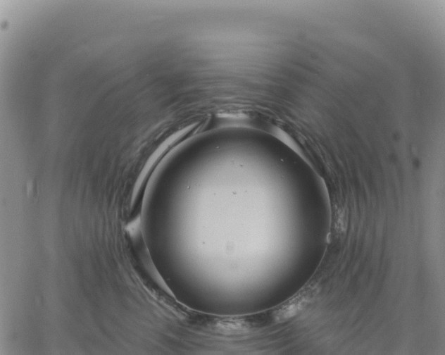 X0000061750666200512091637