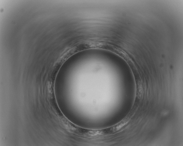 X0000061750667200512091637