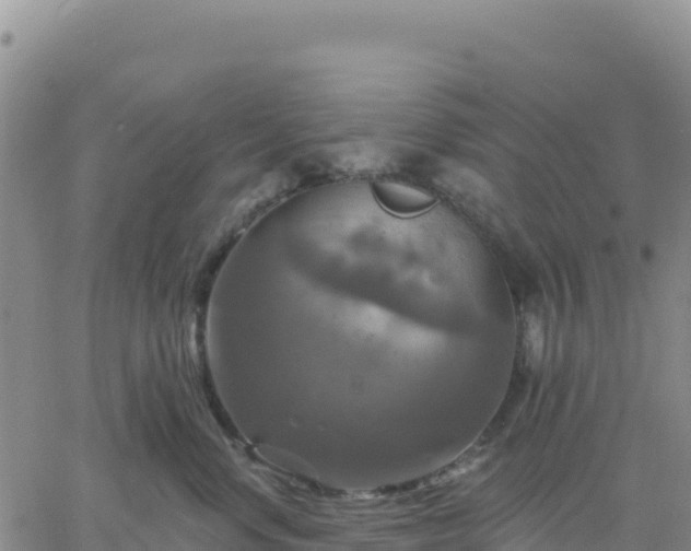 X0000061750668200512091637