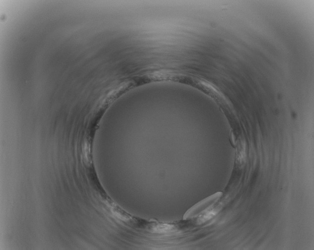 X0000061750669200512091637