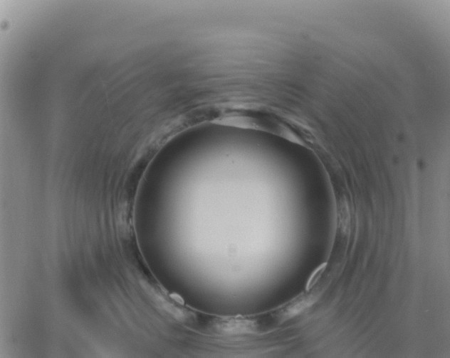 X0000061750670200512091637