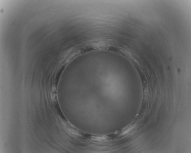 X0000061750671200512091637