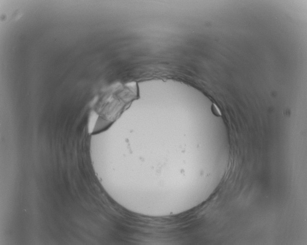 X0000061750672200512091637