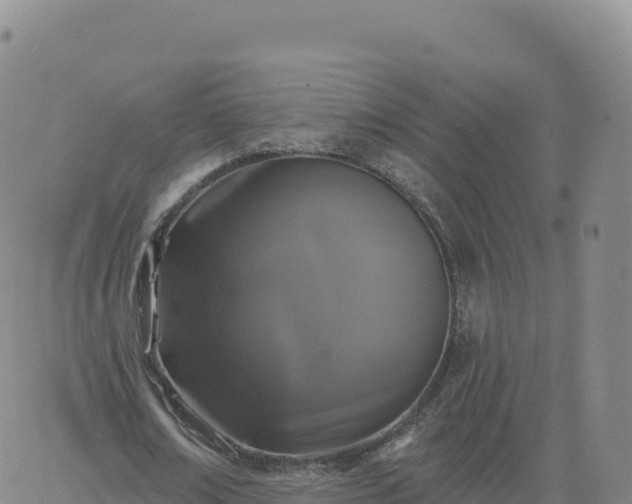 X0000061750674200512091636