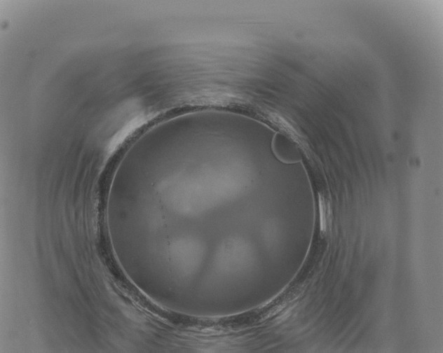 X0000061750675200512091636