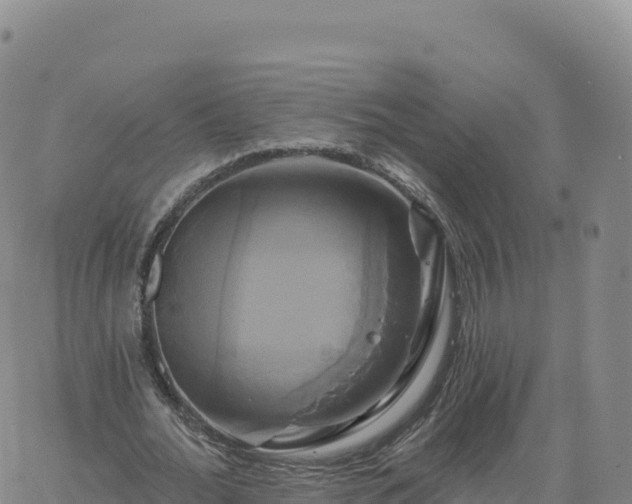 X0000061750676200512091636