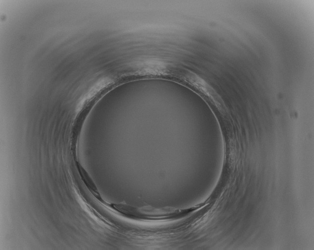 X0000061750677200512091636