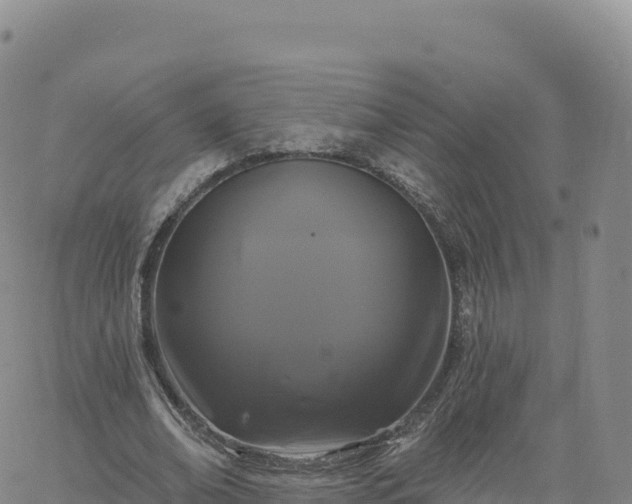 X0000061750678200512091636