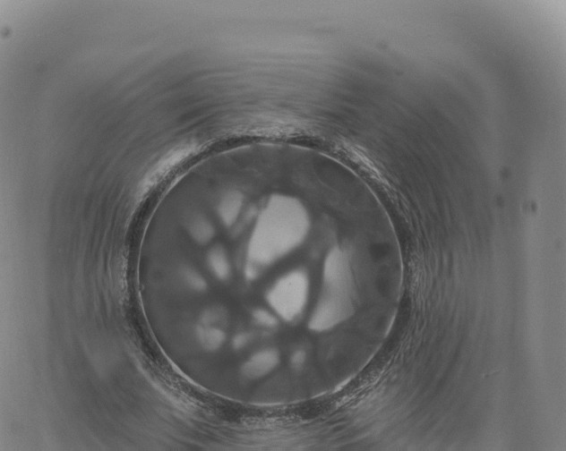 X0000061750679200512091636