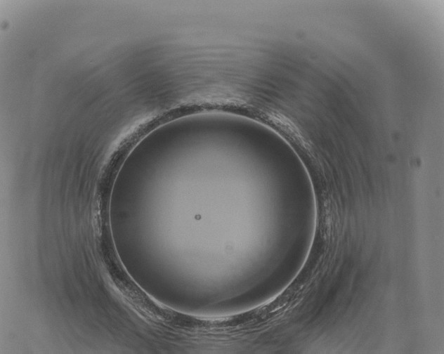 X0000061750680200512091636