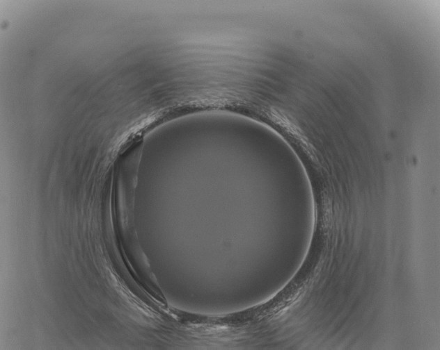 X0000061750681200512091636