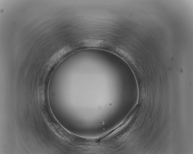 X0000061750682200512091636