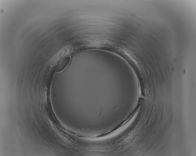 X0000061750685200512091636