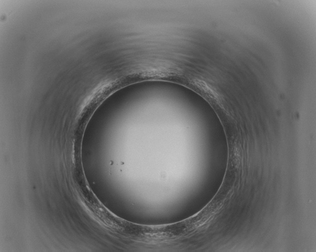 X0000061750686200512091636