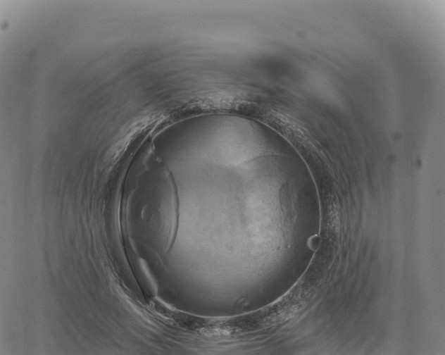 X0000061750687200512091636