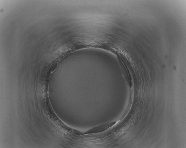 X0000061750689200512091636