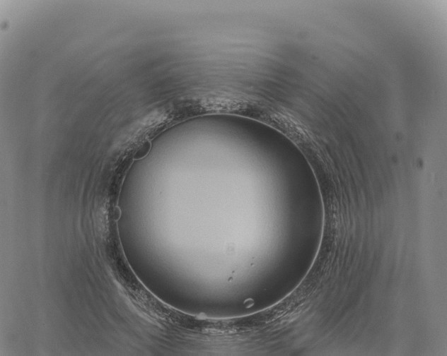 X0000061750690200512091636