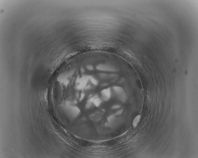 X0000061750691200512091636