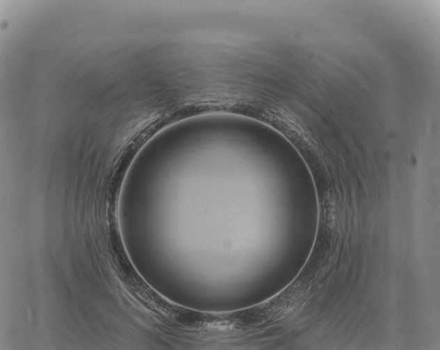 X0000061750692200512091636